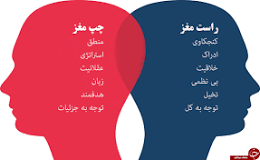 پاورپوینت تفاوتهای ساختمانی و عملی نیمکره های مغز