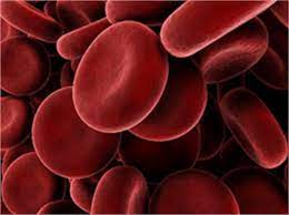 پاورپوینت تعریف هموویژلانس واهمیت آن