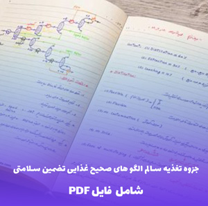 جزوه تغذیه سالم الگو های صحیح غذایی تضمین سلامتی (PDF)