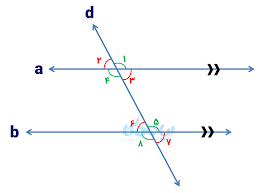 جزوه فصل 6 مبحث خطوط موازی و چهارضلعی ها ریاضی چهارم ( pdf ) 2 صفحه