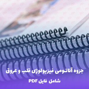 جزوه آناتومی فیزیولوژی قلب و عروق PDF