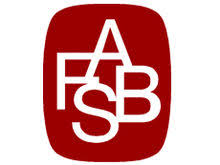 چارچوب نظری (FASB) (ppt) 42 اسلاید