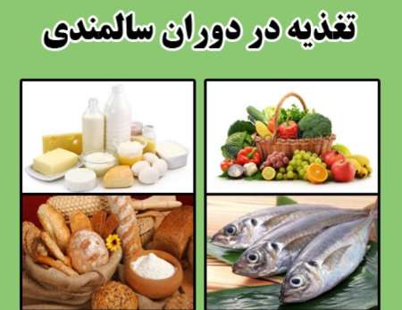 تغذیه سالمندان (ppt) 41 اسلاید