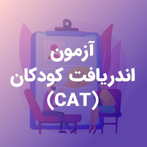 نمونه اجرا شده تست cat (نمونه انجام شده آزمون cat)